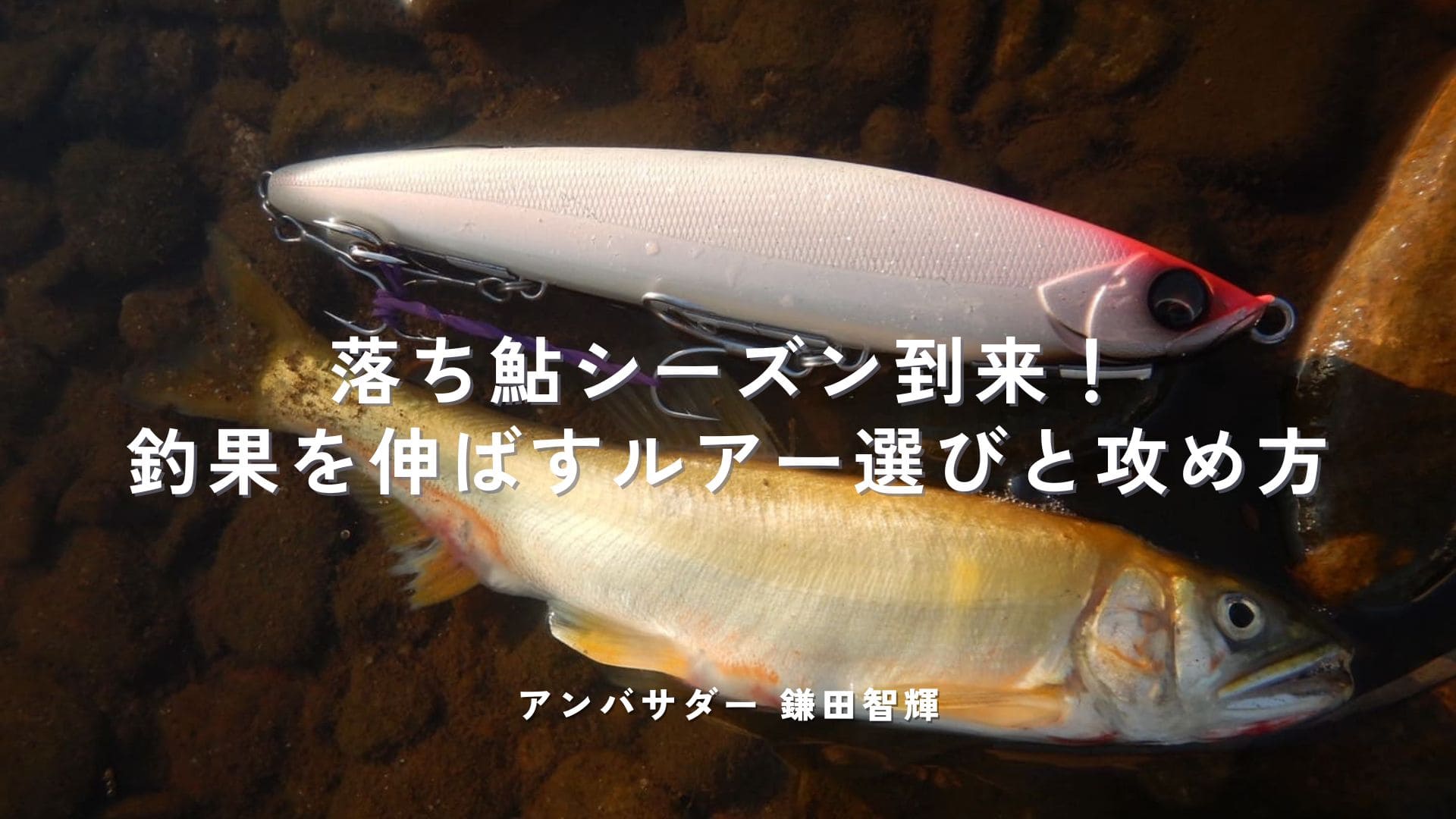 foojin'X 10th ANNIVERSARY LIMITED EDITION 04.30 RELEASE | アピアTV